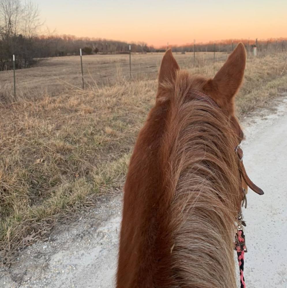 Meet your Posher, Samyia